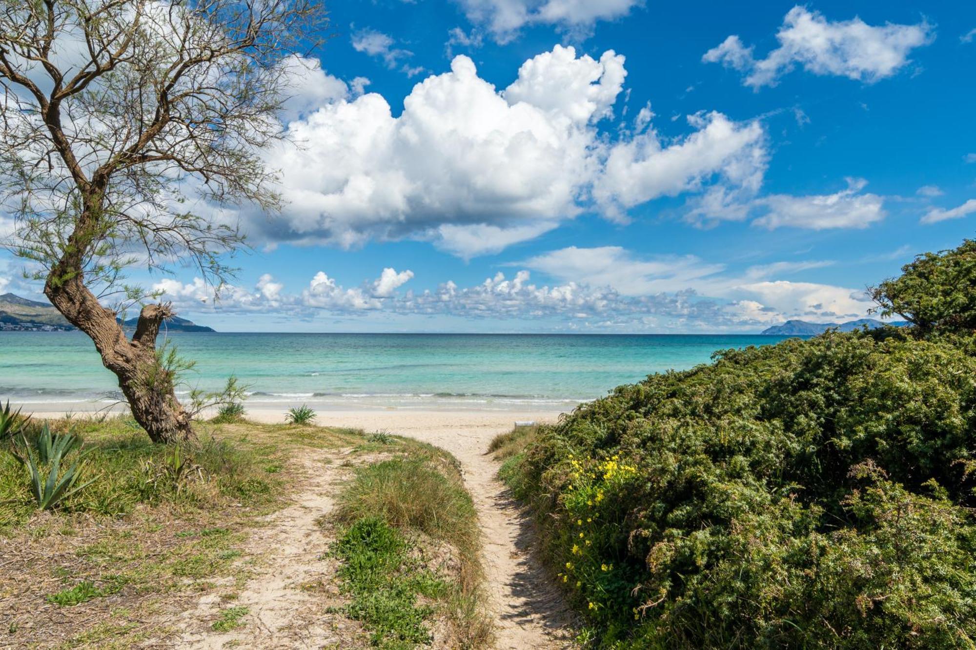 Villa Can Canta Natura Park House At Platja De Muro Beach 외부 사진